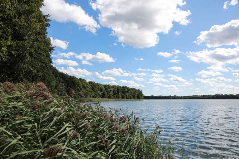 Camping Spreewaldtor **** photo 6 Brandebourg Tohapi